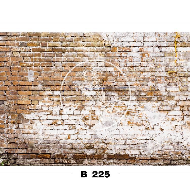 B 225