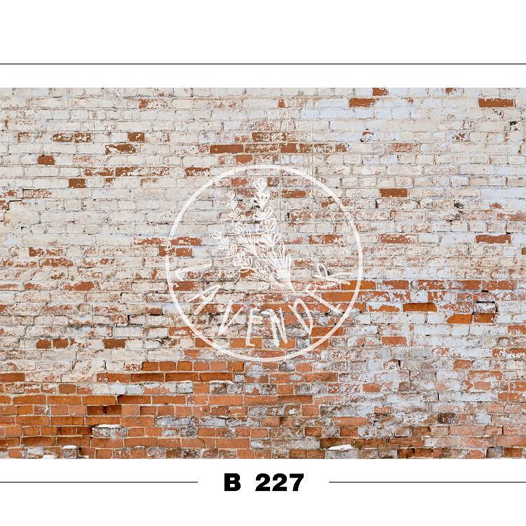B 227