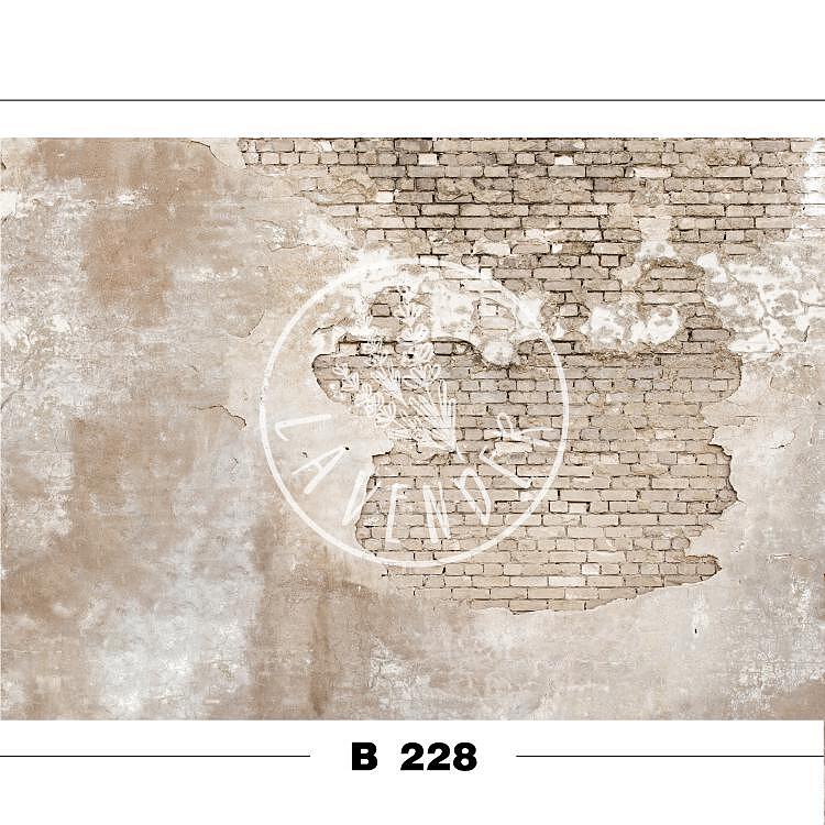 B 228