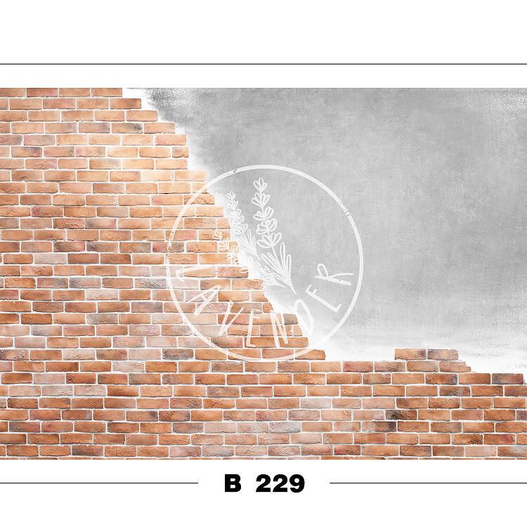 B 229