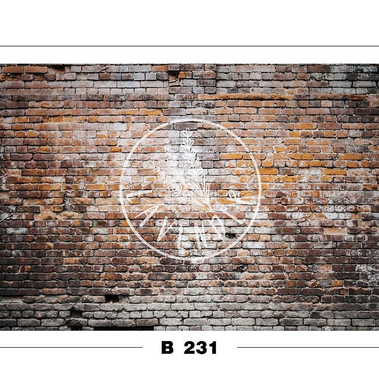 B 231