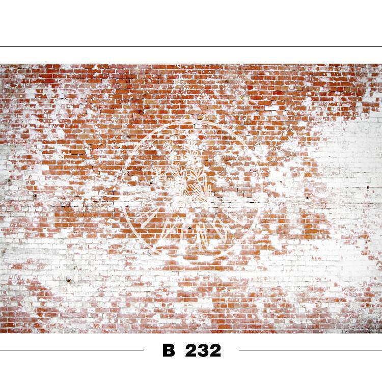 B 232
