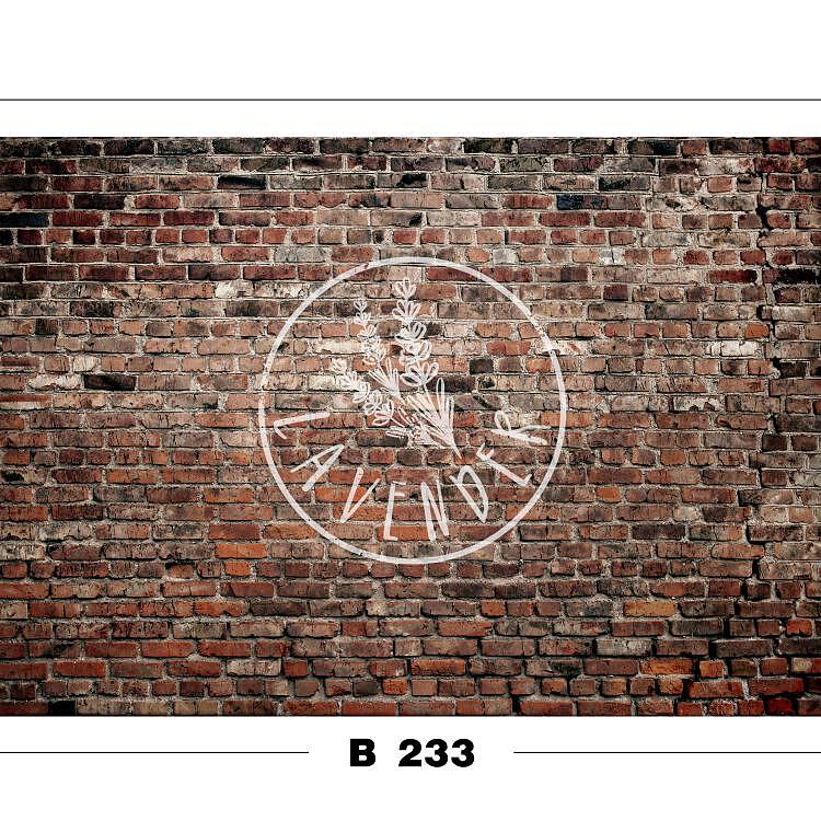 B 233