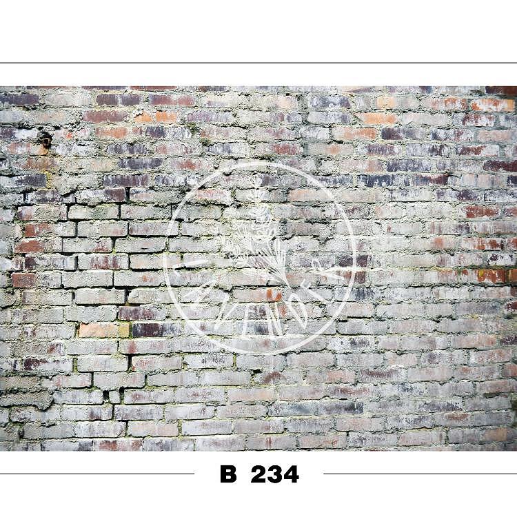 B 234