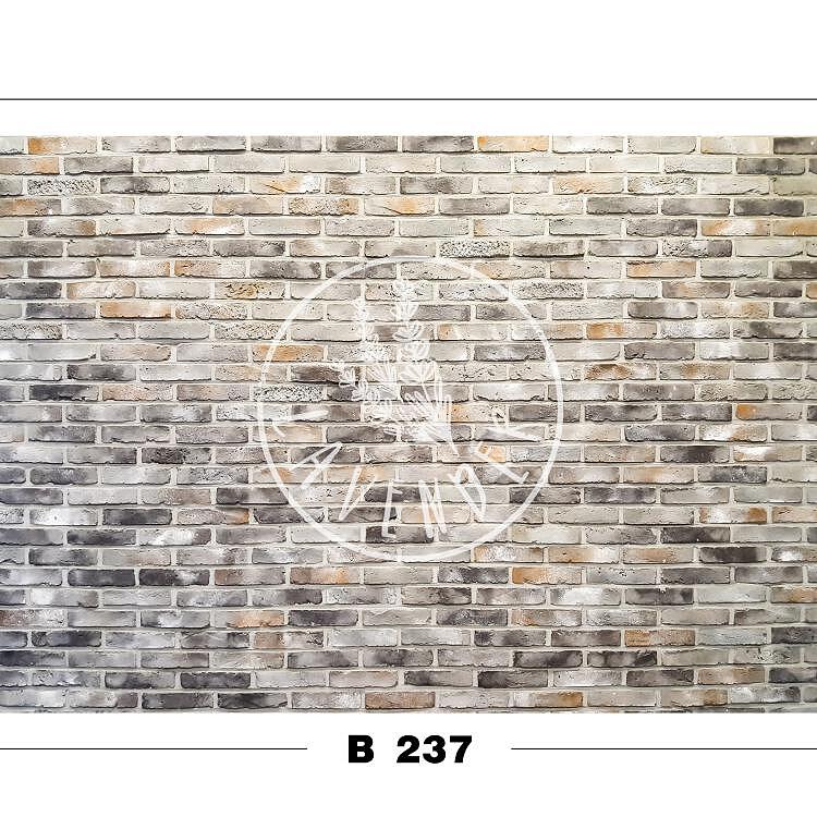 B 237