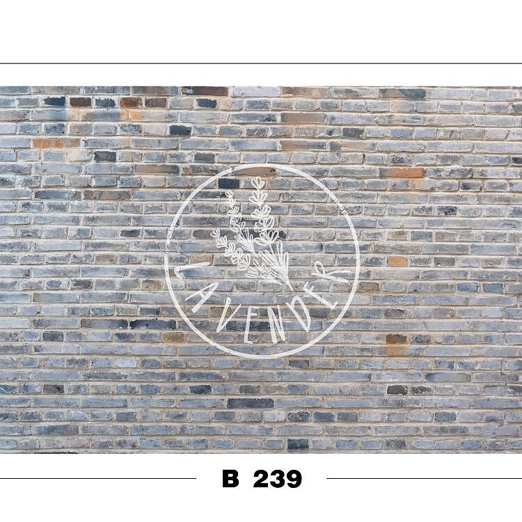 B 239
