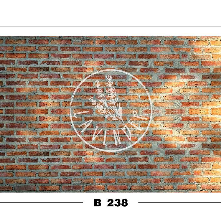 B 238