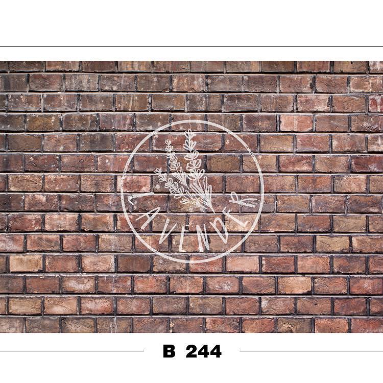 B 244