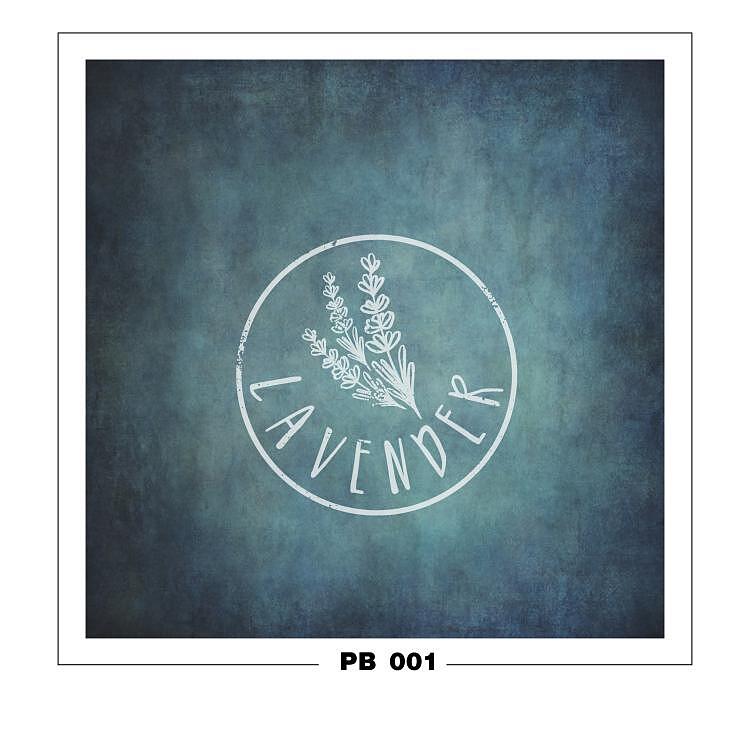 PB 001
