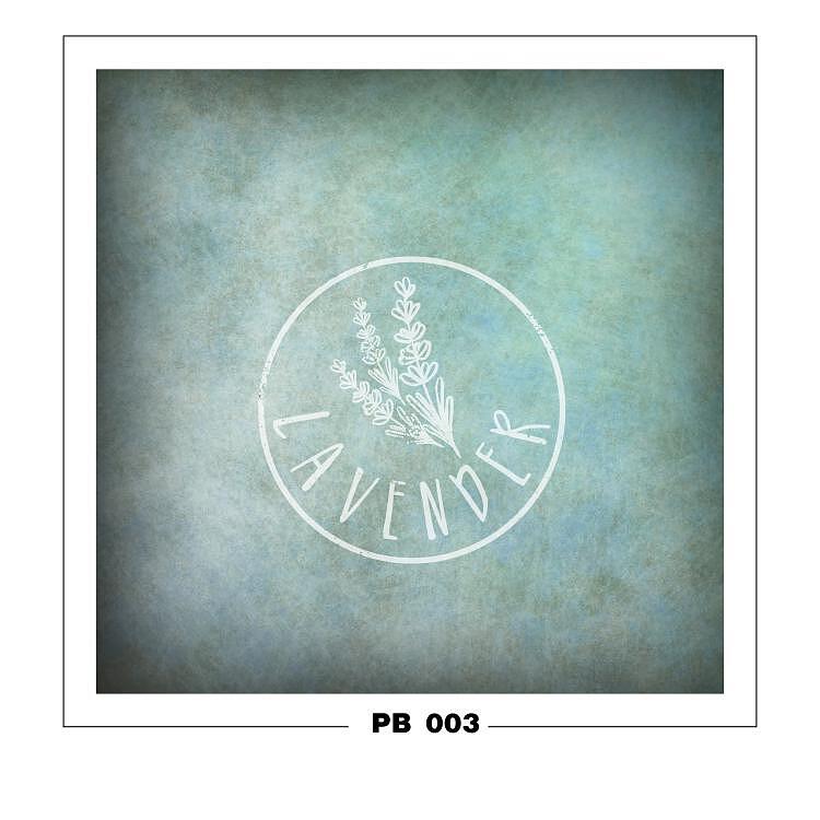 PB 003