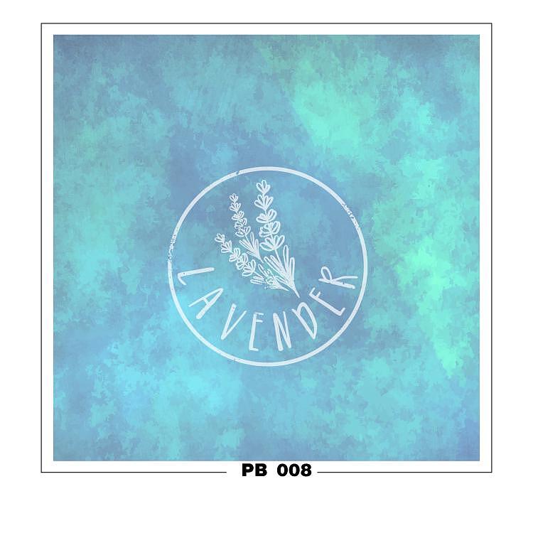 PB 008