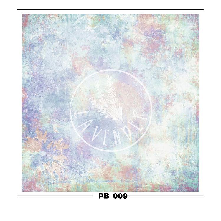 PB 009