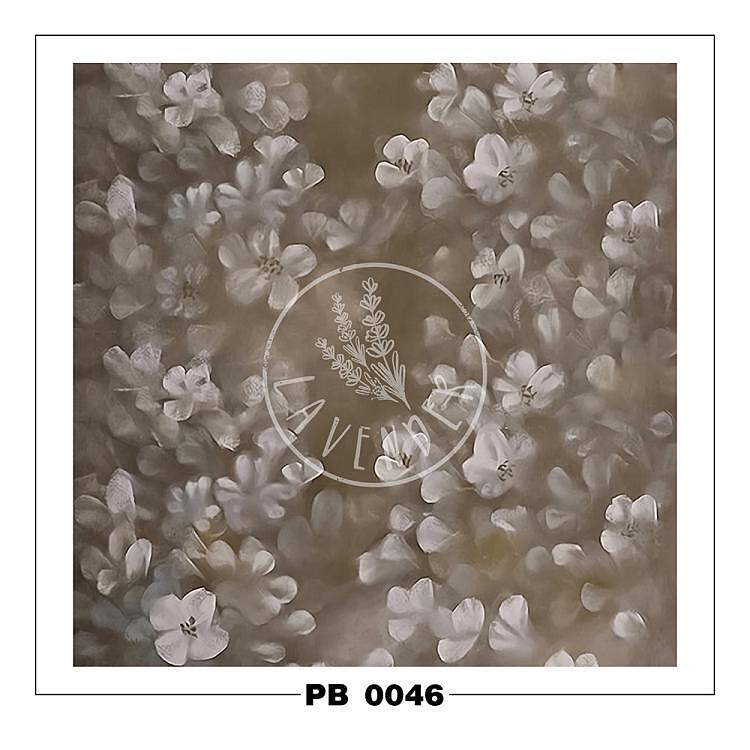 PB 0046