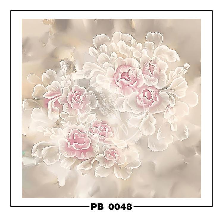 PB 0048