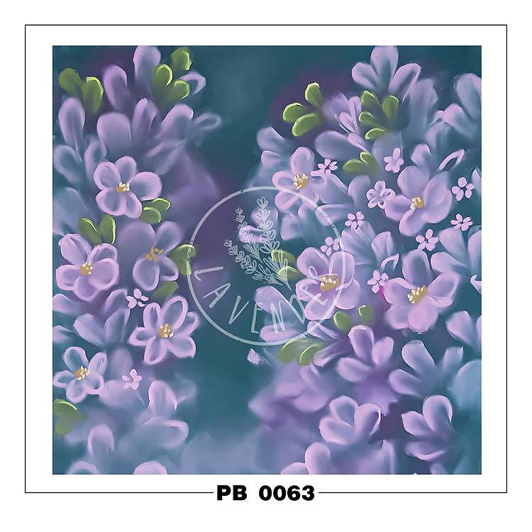 PB 0063