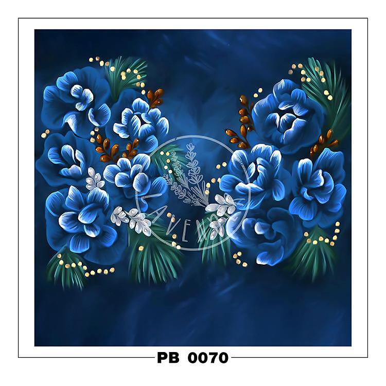 PB 0070