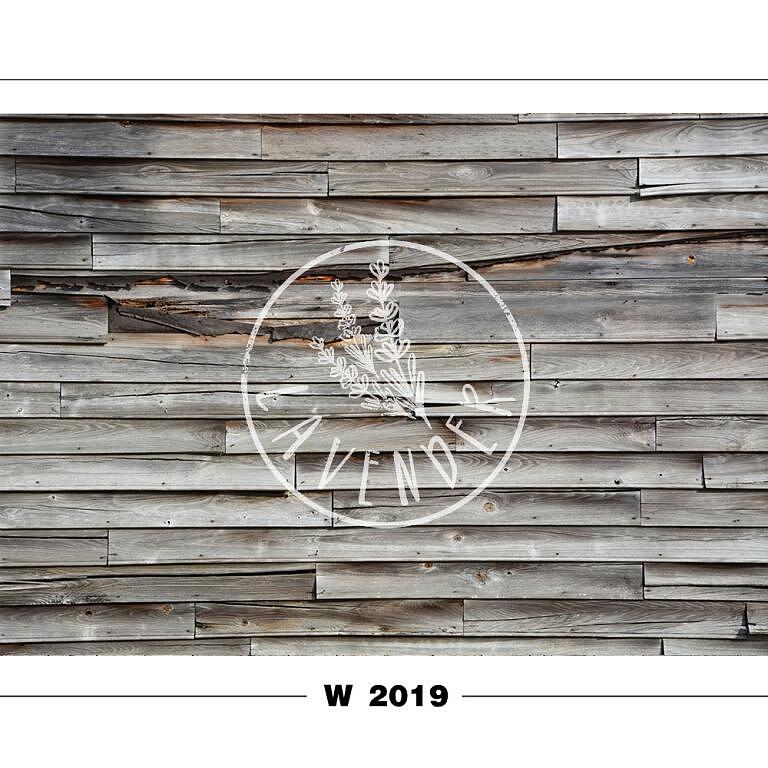 W 2019