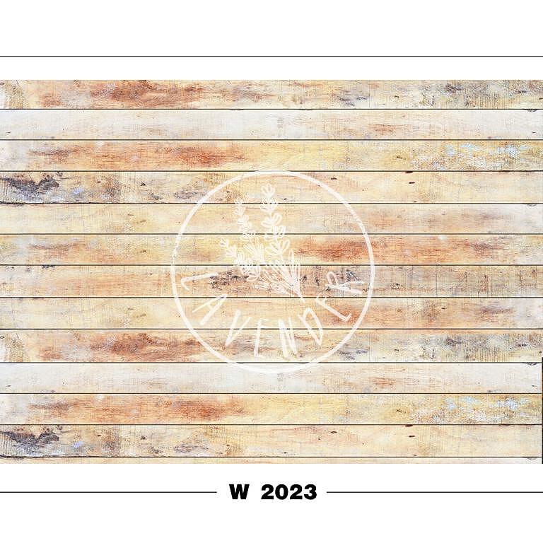 W 2023