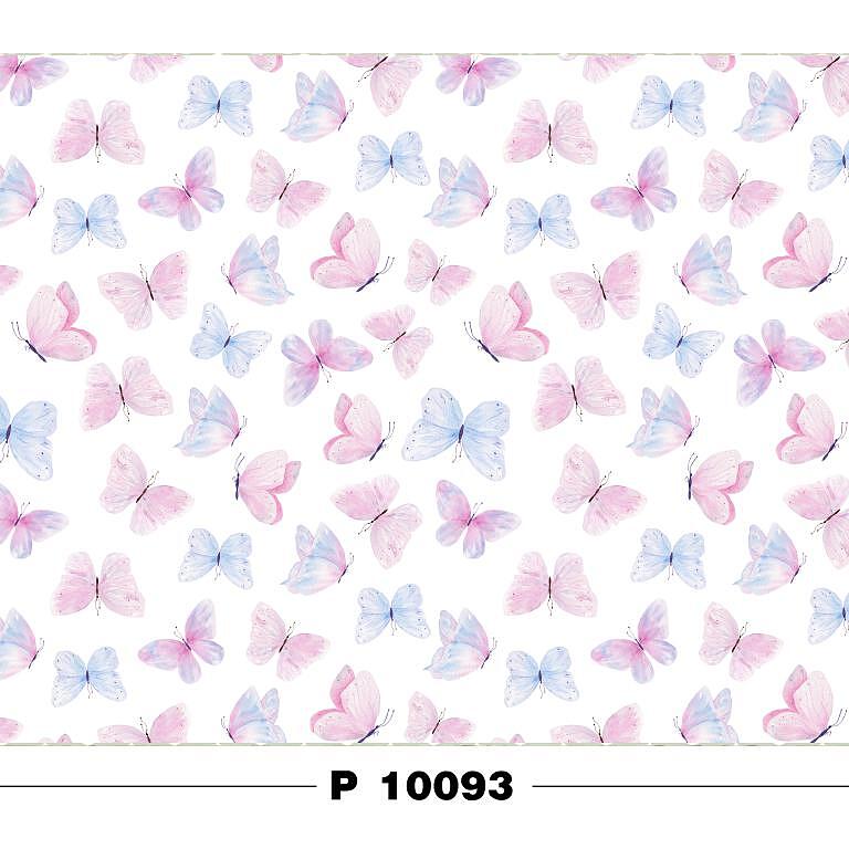 P 10093