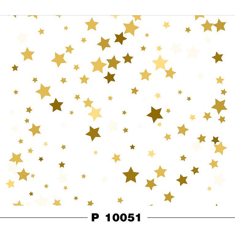 P 10051