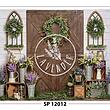 SP 12012