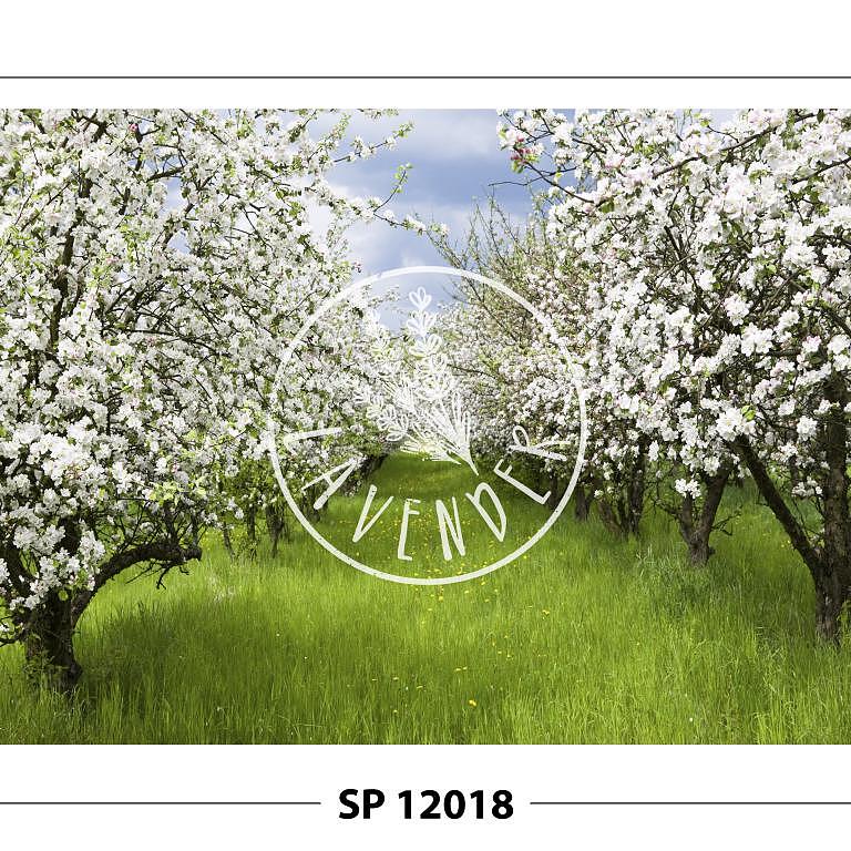 SP 12018