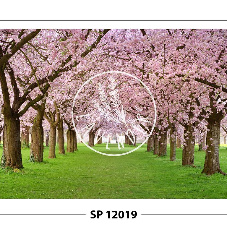 SP 12019