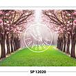 SP 12020