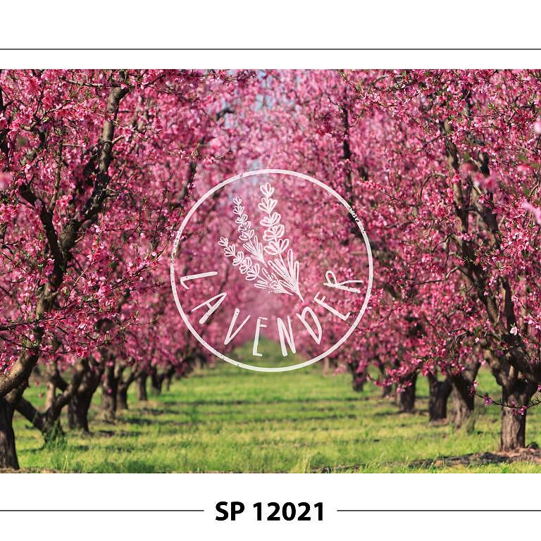 SP 12021