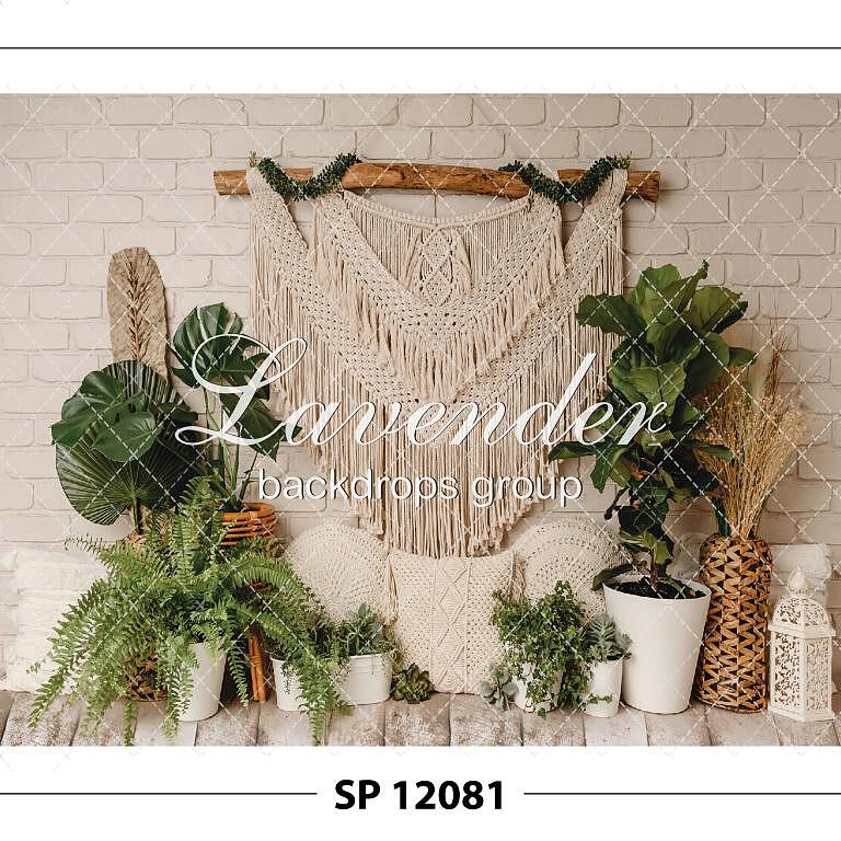 SP 12081