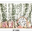 SP 12084
