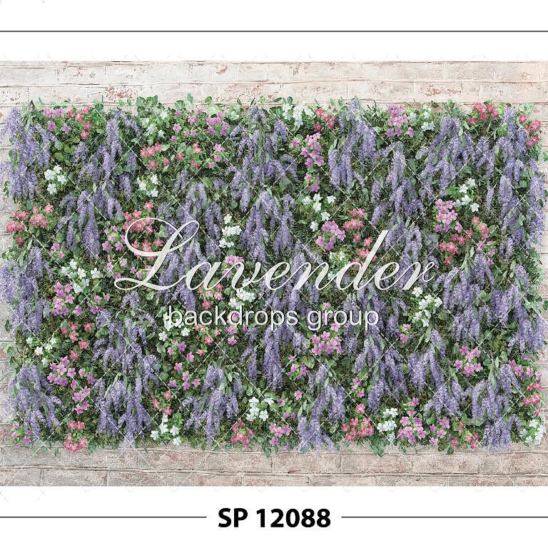 SP 12088