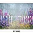 SP 12097