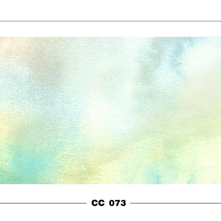 CC 073