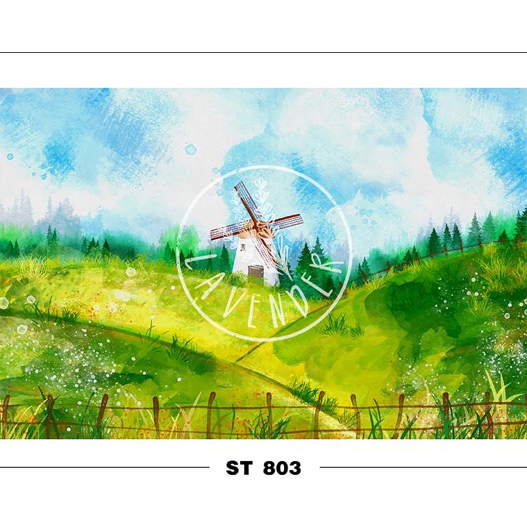ST 803