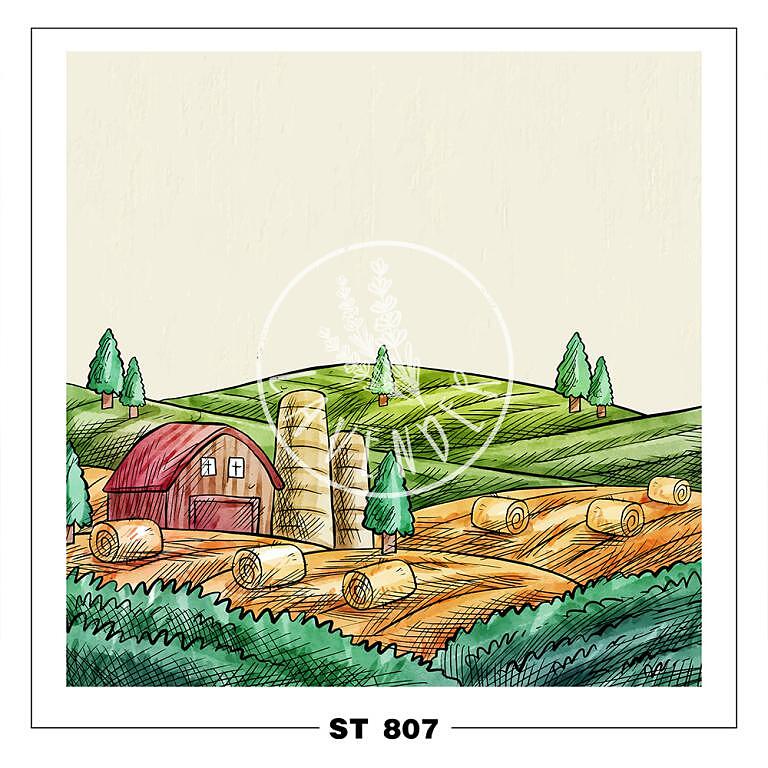 ST 807