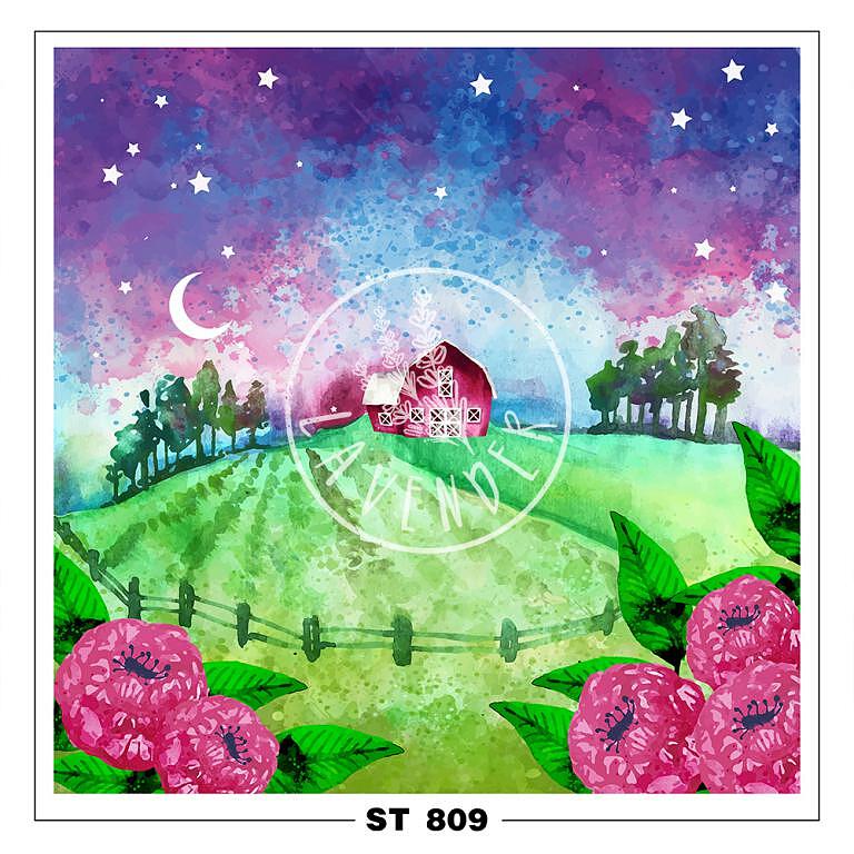 ST 809