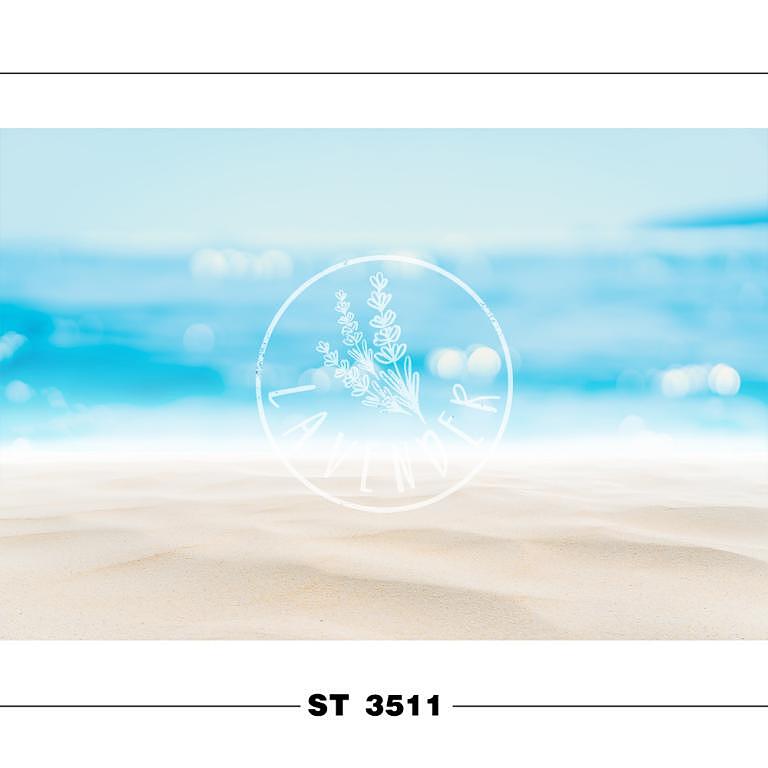 ST 3511