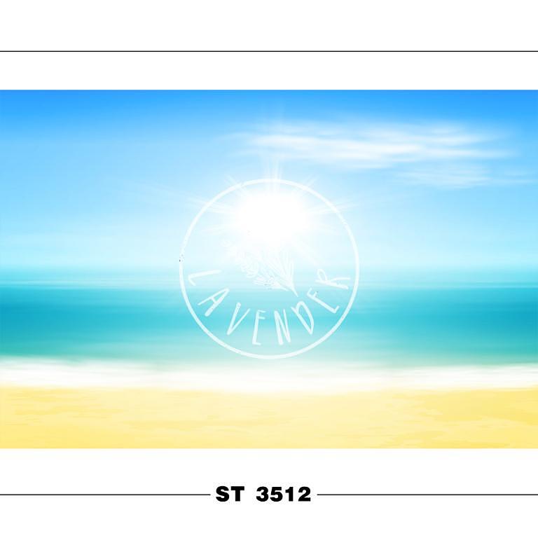 ST 3512