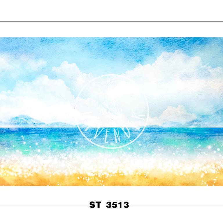 ST 3513