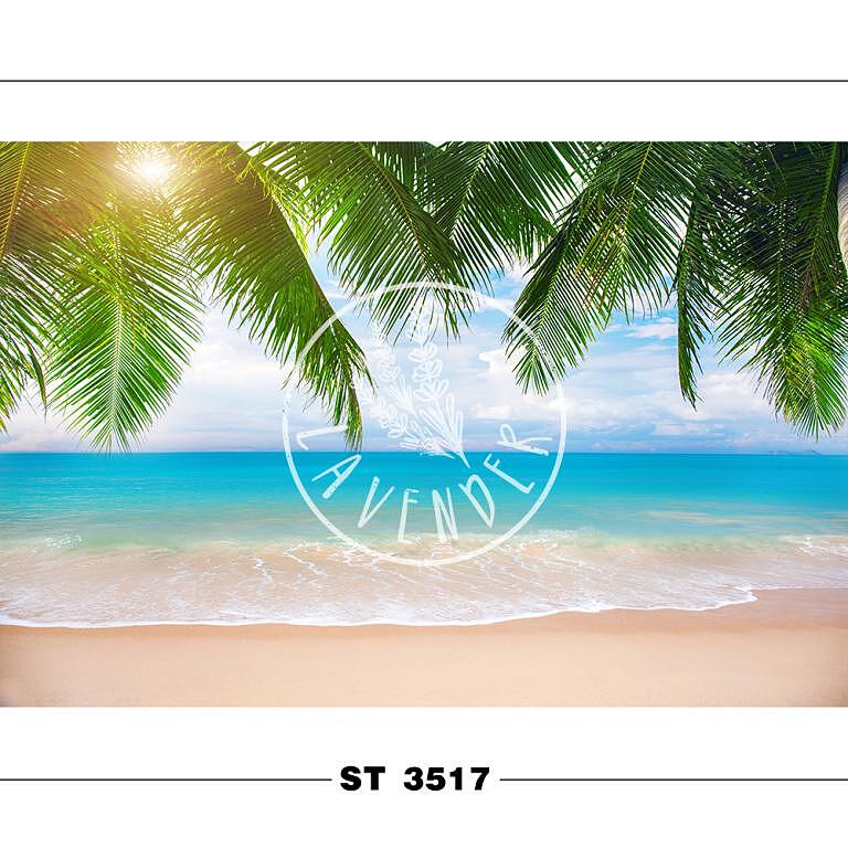 ST 3517