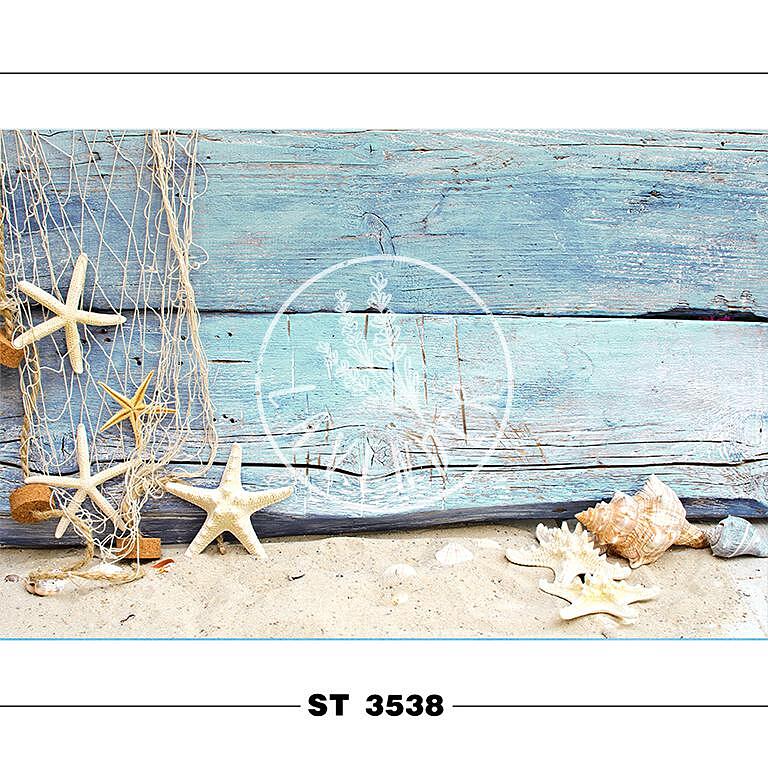 ST 3538