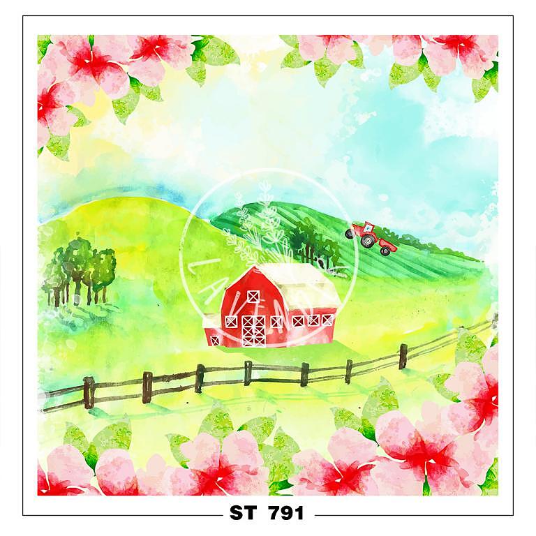 ST 791