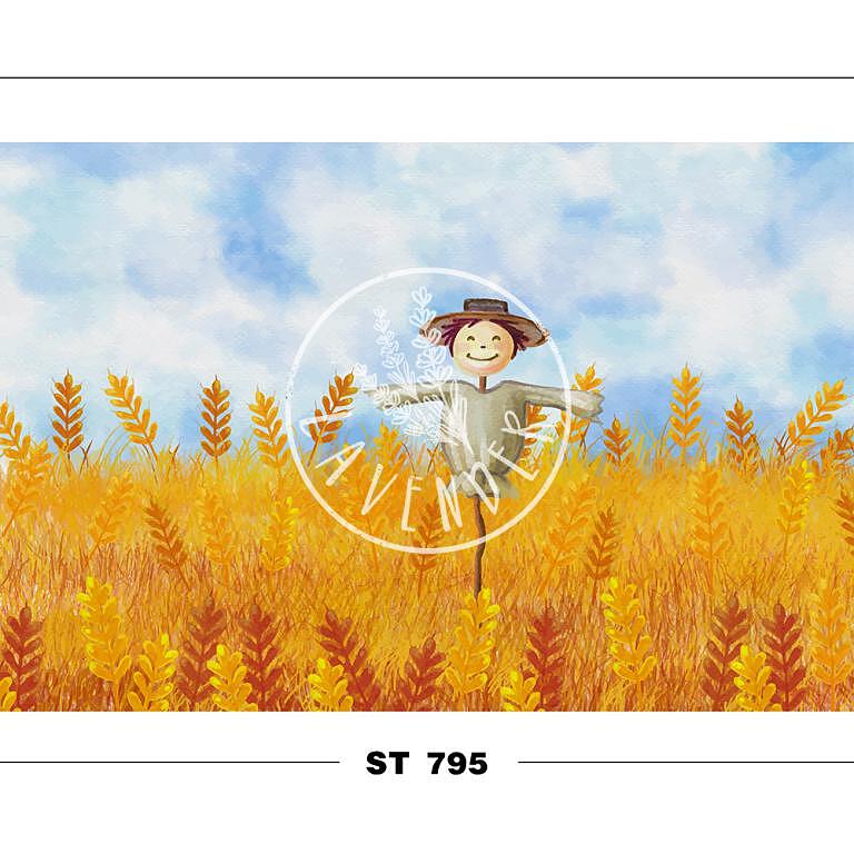 ST 795