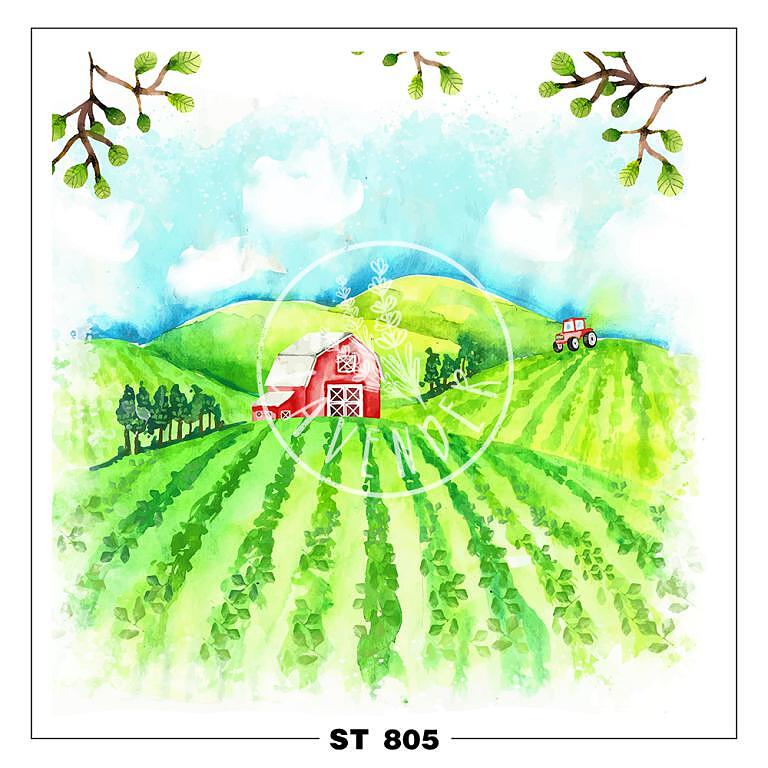 ST 805