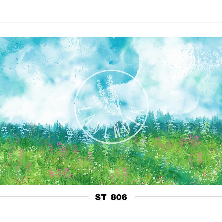 ST 806