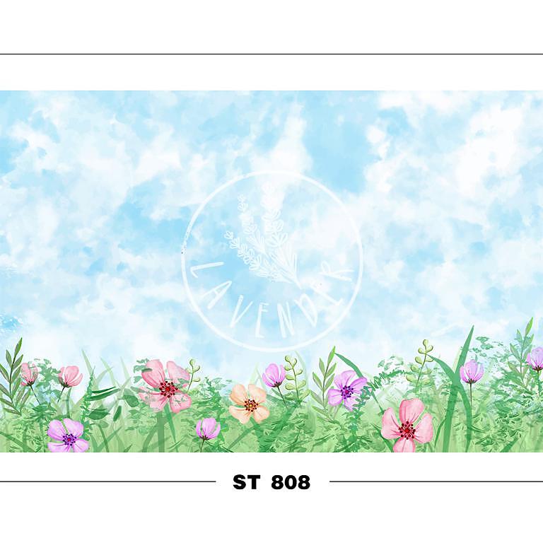 ST 808