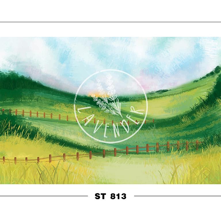 ST 813