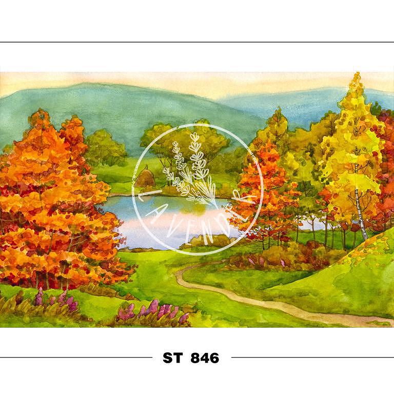 ST 846
