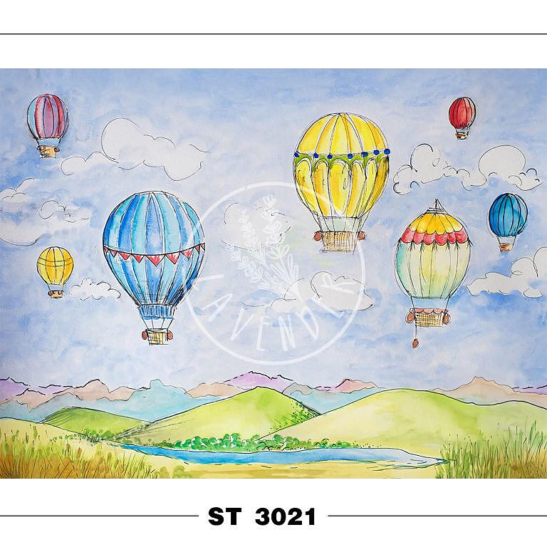ST 3021